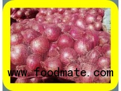 COMMON FRESH RED ONION