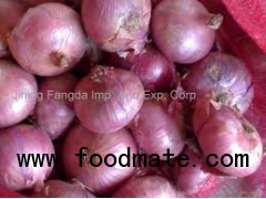 SHOLLOTS RED ONION