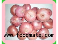 RED ONION ORGANIC