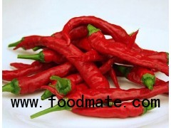 Red Chillies