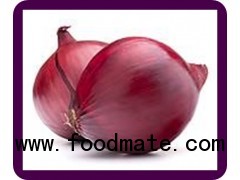 RED ONION MIDDEL