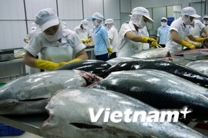 Vietnam’s tuna