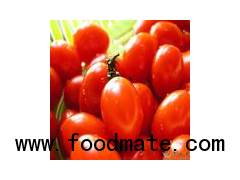 2014 High Quality China Supplier Tomato Paste in Canned (70g 210g 400g 2200g)