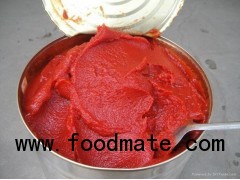 Delicious Tin Tomato with Low Price Tomato Paste for Good Taste Tomato Paste 70g