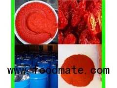 High Quality Gino and Italian Tomato Paste Factory