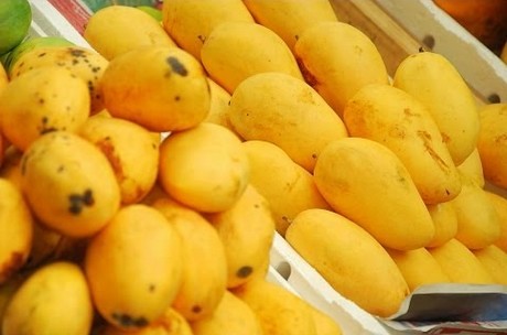 mango