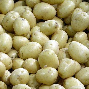 WA potato industry