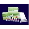 Oxytetracyline ELISA Test Kit