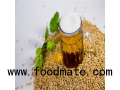 beer barley grain under promotion