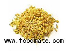 good bulk barley wholesaler