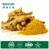 Turmeric Root Extract