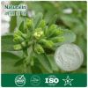 Natural Stevia Extract