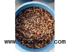 brine nameko mushroom