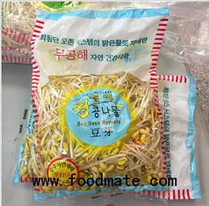 soybean and mung bean sprouts