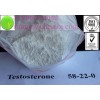 Testosterone Base