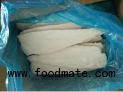 Frozen Alaska Pollock