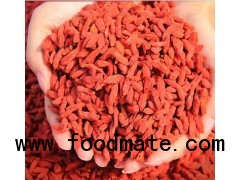 Chinese ningxia goji berry