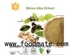 Mulberry Leaf Extract  Morus Alba Extract