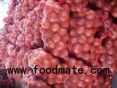 Wholesale Onion, Fresh Onion ,