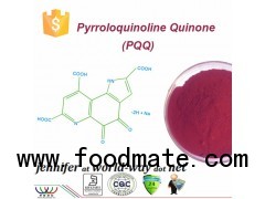 Vitamin B Group PQQ