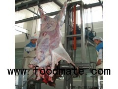 Hydraulic Type Cattle Skin Removed Machine