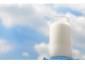 Arla Foods opens new milk powder production facility in Senegal