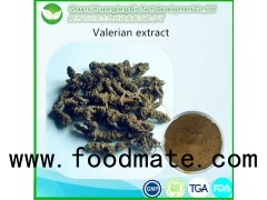 Valerian Extract