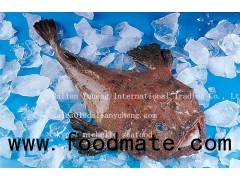 FROZEN MONKFISH