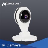 Wireless Security Camera