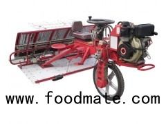 Electric Starting And Hydraulic Rice Transplanter