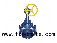 Orbit Plug Valve