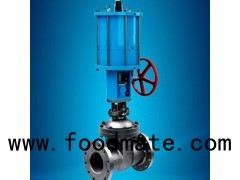 Electric Actuated Stainless Steel Gate Valve