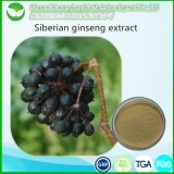 Siberian Ginseng Extract