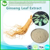 Ginseng Leaf Extract