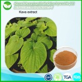 Kava Extract