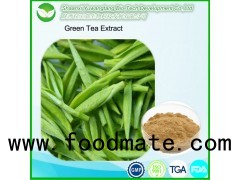 Green Tea Extract