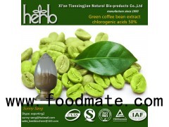 Green coffee bean extract Chlorognic acids 50% HPLC