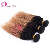 Kinky Curly Ombre Color Virgin Brazilian Human Hair Weaves