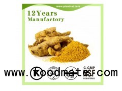 Curcumin 98%