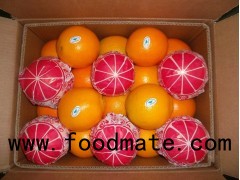 Navel orange