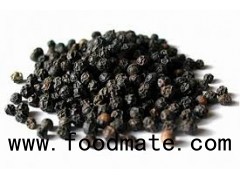 Black Pepper