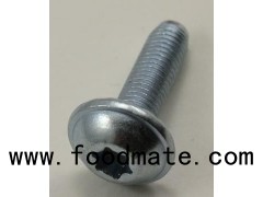 High Grade Self-tapping Steel Screws For Aluminum Profiles