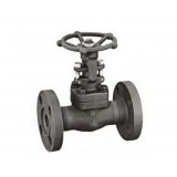 API 602 Standard Forged Steel NPT /SW /BW Webge Gate Valve