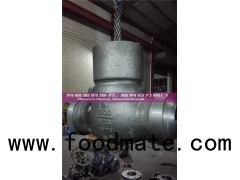 API6D Cast Steel Swing Check Valves