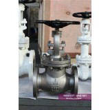 Flanged Stainless Steel Globe Valves