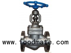 API 602 Standard Forged Stainless Steel Steel Smal Size NPT /SW /BW Globe Valve