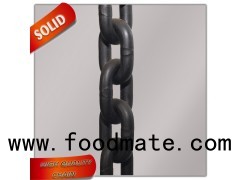 High Precision G100 Alloy Chain Hoist