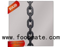 High Quality G100 Alloy Chain Hoist