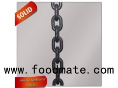 High Quality G80 Steel Chain Hoist