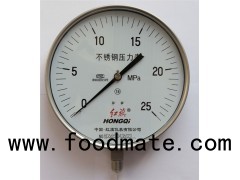 (Y-250B-F)250mm Lower Mount Stainless Steel Manometer M20*1.5,G1/2'',1/2'' NPT ±